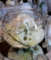 /album/eskuvoi-dekoracio/white-wedding-flowers-centerpiece-roses-ffce-jpg/